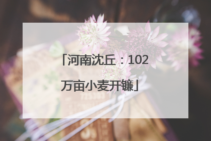 河南沈丘：102 万亩小麦开镰