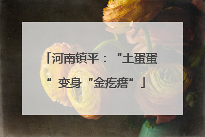 河南镇平：“土蛋蛋”变身“金疙瘩”