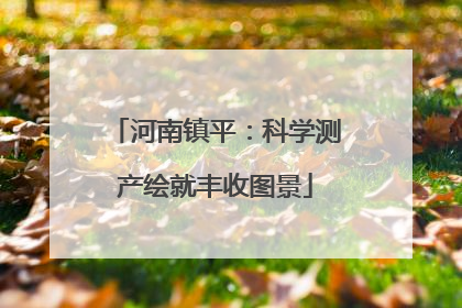 河南镇平：科学测产绘就丰收图景