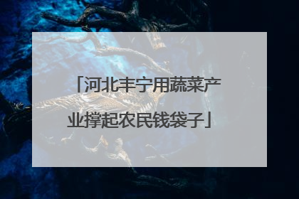 河北丰宁用蔬菜产业撑起农民钱袋子