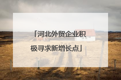 河北外贸企业积极寻求新增长点