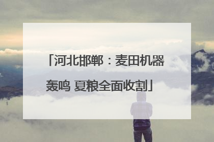 河北邯郸：麦田机器轰鸣 夏粮全面收割