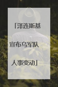 泽连斯基宣布乌军队人事变动