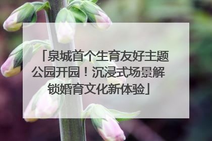 泉城首个生育友好主题公园开园！沉浸式场景解锁婚育文化新体验