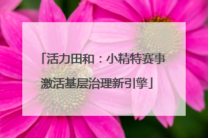 活力田和：小精特赛事激活基层治理新引擎