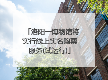 洛阳一博物馆将实行线上实名购票服务(试运行)