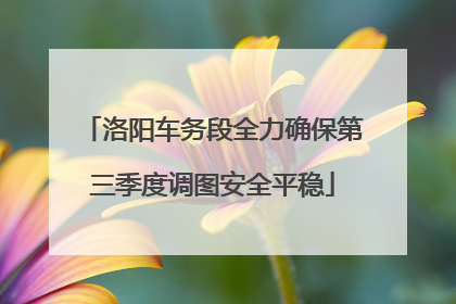 洛阳车务段全力确保第三季度调图安全平稳