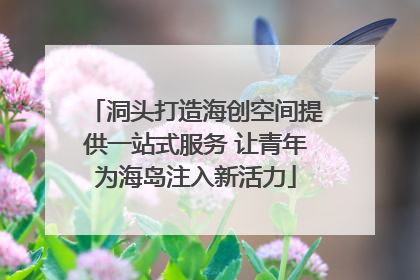 洞头打造海创空间提供一站式服务 让青年为海岛注入新活力