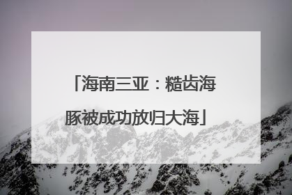 海南三亚：糙齿海豚被成功放归大海