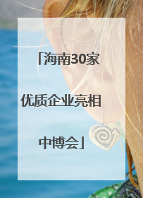 海南30家优质企业亮相中博会