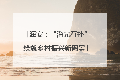 海安：“渔光互补” 绘就乡村振兴新图景