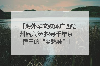 海外华文媒体广西梧州品六堡 探寻千年茶香里的“乡愁味”