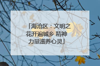 海沧区：文明之花开遍城乡 精神力量滋养心灵