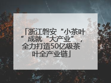 浙江磐安“小茶叶”成就“大产业”，全力打造50亿级茶叶全产业链