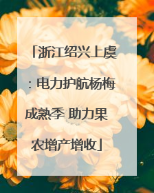浙江绍兴上虞：电力护航杨梅成熟季 助力果农增产增收