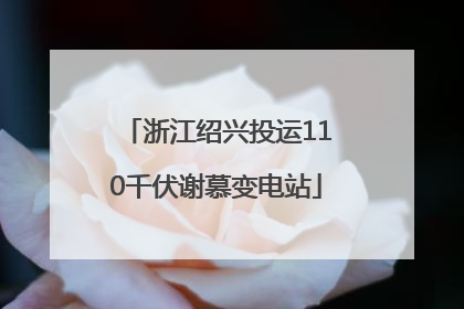 浙江绍兴投运110千伏谢慕变电站
