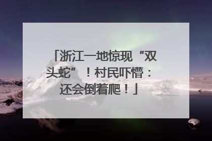 浙江一地惊现“双头蛇”！村民吓懵：还会倒着爬！