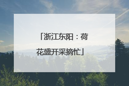 浙江东阳：荷花盛开采摘忙