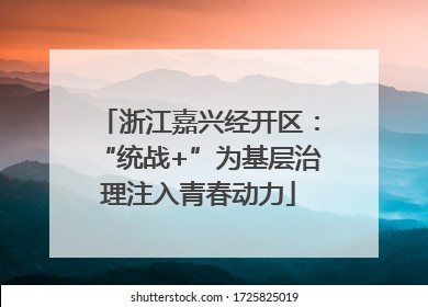 浙江嘉兴经开区：“统战+”为基层治理注入青春动力