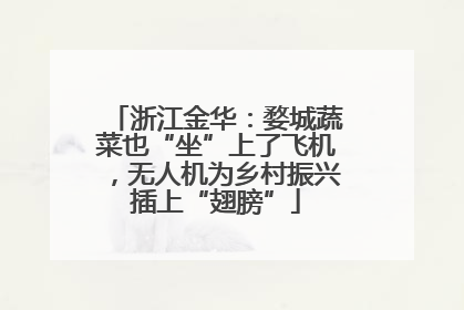 浙江金华：婺城蔬菜也“坐”上了飞机，无人机为乡村振兴插上“翅膀”