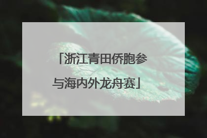 浙江青田侨胞参与海内外龙舟赛