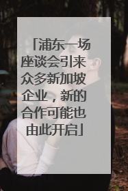 浦东一场座谈会引来众多新加坡企业，新的合作可能也由此开启