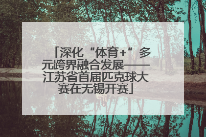深化“体育+”多元跨界融合发展——江苏省首届匹克球大赛在无锡开赛