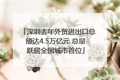 深圳去年外贸进出口总额达4.5万亿元 总量跃居全国城市首位