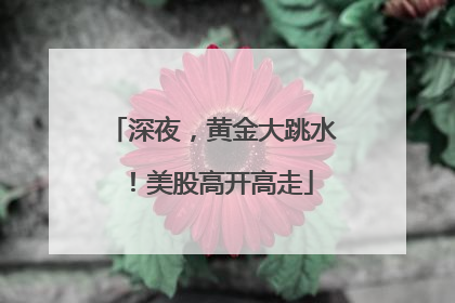 深夜，黄金大跳水！美股高开高走