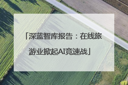 深蓝智库报告：在线旅游业掀起AI竞速战