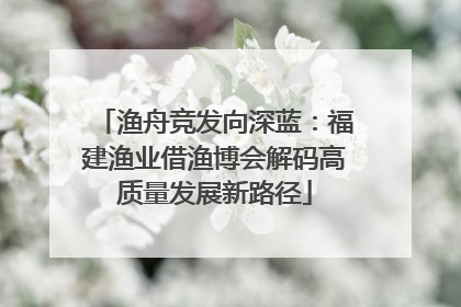 渔舟竞发向深蓝：福建渔业借渔博会解码高质量发展新路径