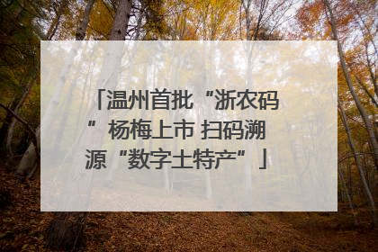 温州首批“浙农码”杨梅上市 扫码溯源“数字土特产”