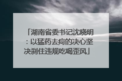 湖南省委书记沈晓明：以猛药去疴的决心坚决刹住违规吃喝歪风