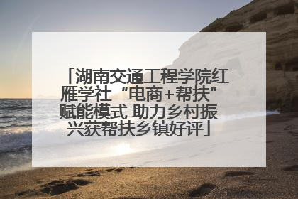 湖南交通工程学院红雁学社“电商+帮扶”赋能模式 助力乡村振兴获帮扶乡镇好评