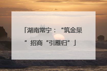 湖南常宁：“筑金巢”招商“引雁归”