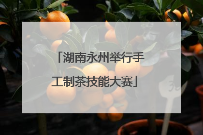 湖南永州举行手工制茶技能大赛