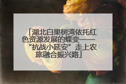 湖北白果树湾依托红色资源发展的蝶变——“抗战小延安”走上农旅融合振兴路
