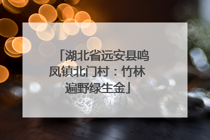 湖北省远安县鸣凤镇北门村：竹林遍野绿生金