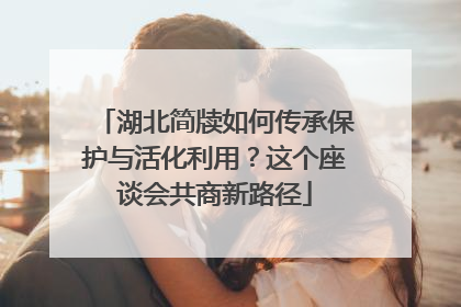 湖北简牍如何传承保护与活化利用？这个座谈会共商新路径