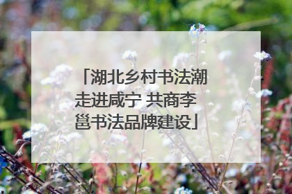 湖北乡村书法潮走进咸宁 共商李邕书法品牌建设