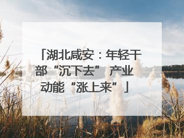 湖北咸安：年轻干部“沉下去” 产业动能“涨上来”