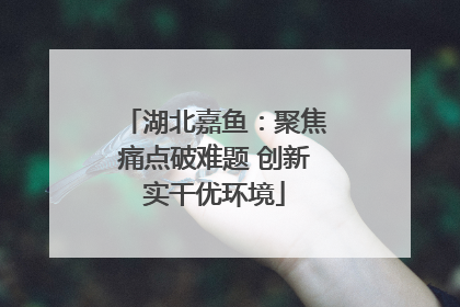 湖北嘉鱼：聚焦痛点破难题 创新实干优环境