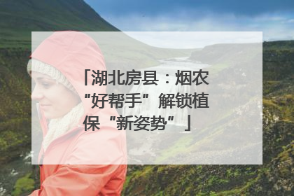 湖北房县：烟农“好帮手”解锁植保“新姿势”
