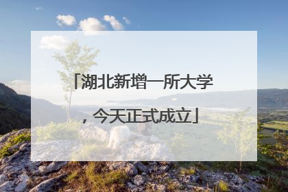 湖北新增一所大学，今天正式成立