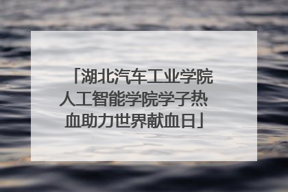 湖北汽车工业学院人工智能学院学子热血助力世界献血日