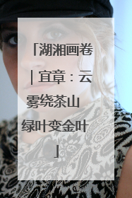 湖湘画卷｜宜章：云雾绕茶山 绿叶变金叶