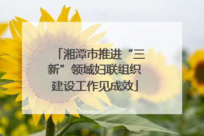 湘潭市推进“三新”领域妇联组织建设工作见成效