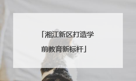 湘江新区打造学前教育新标杆