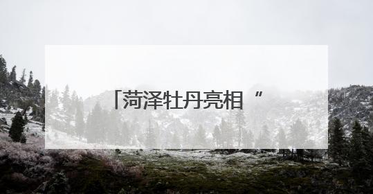 菏泽牡丹亮相“哈洽会”撬动国际合作新机遇