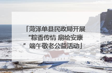 菏泽单县民政局开展“粽香传情 扇绘安康”端午敬老公益活动
